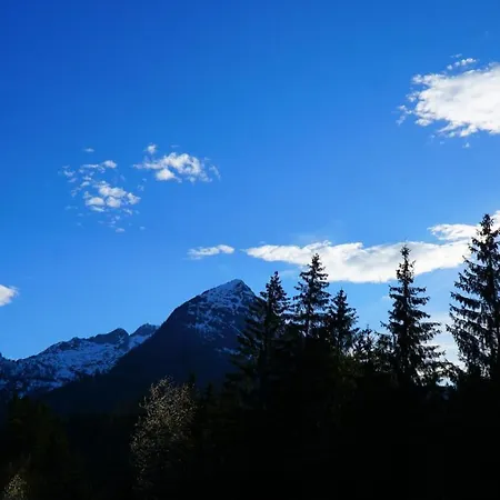 Sonnenwald Appartement
