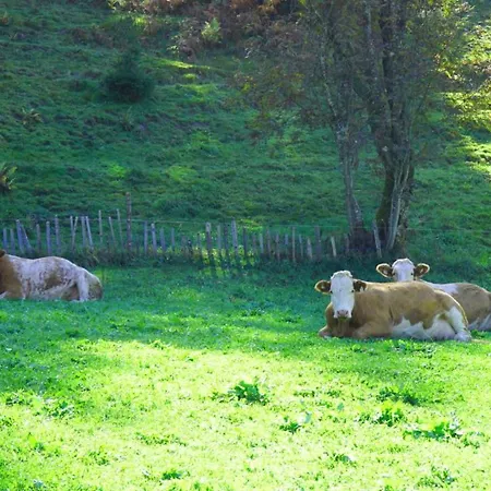 Appartement Sonnenwald *