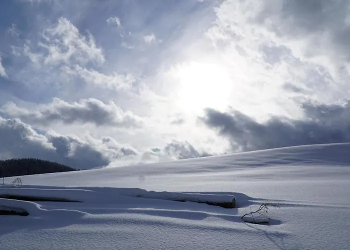 Sonnenwald Apartmán *